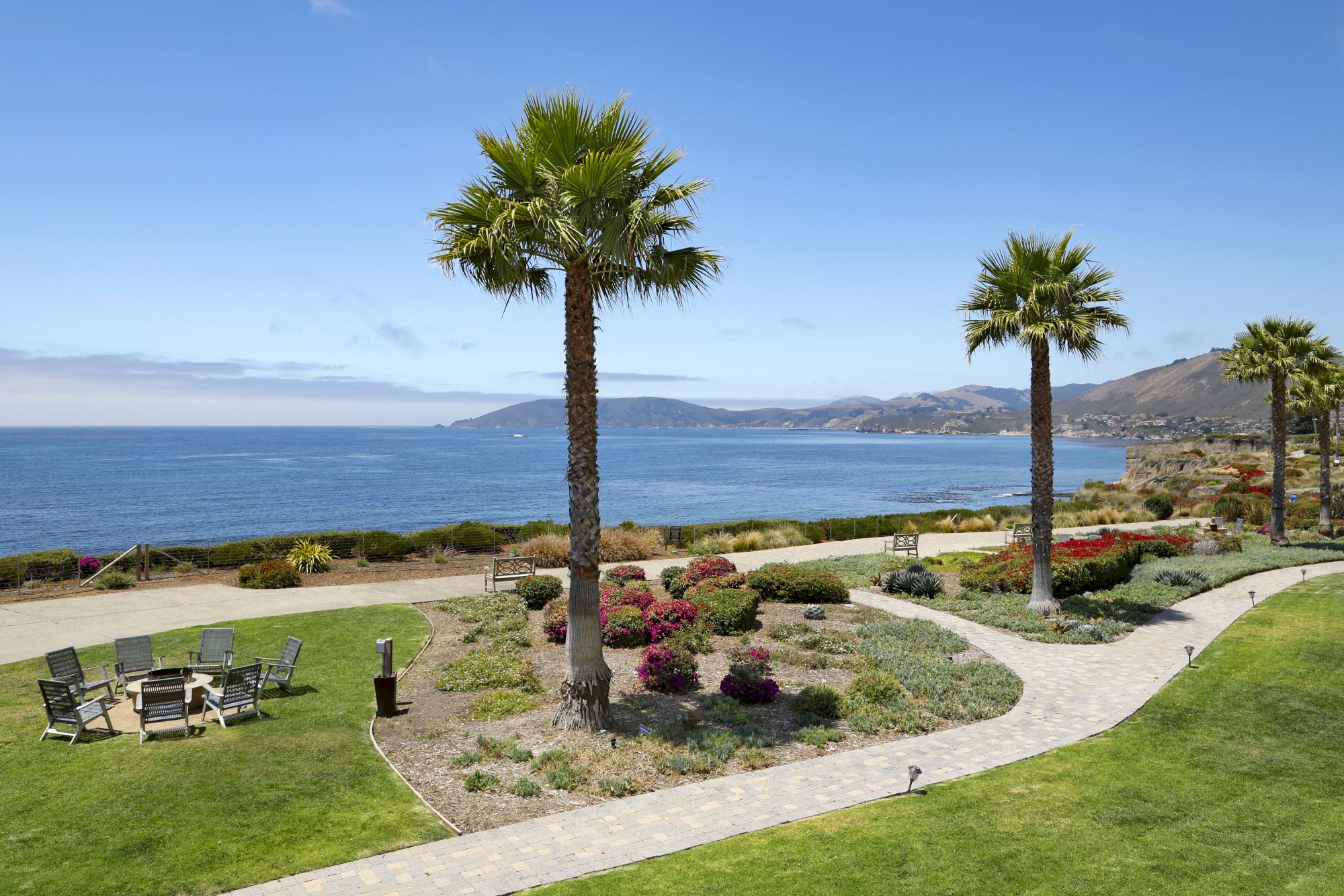 Sunny seaside garden with palm trees, colorful flowers, and a blue ocean view under a clear sky.