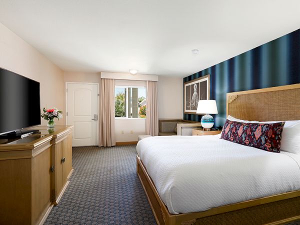 A hotel room with a king bed, nightstands and lamps, a dresser with a TV, a floral arrangement, and a window with curtains, plus a blue-accent wall.