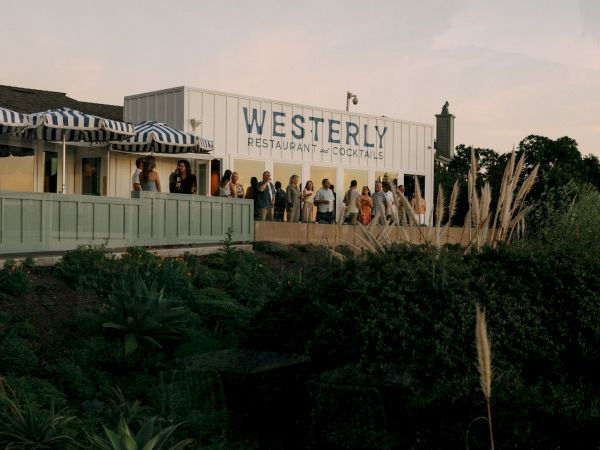 People gather outside &ldquo;Wesley Restaurant and Cocktails&rdquo; under striped awnings as plants and tall grasses sway in the foreground.