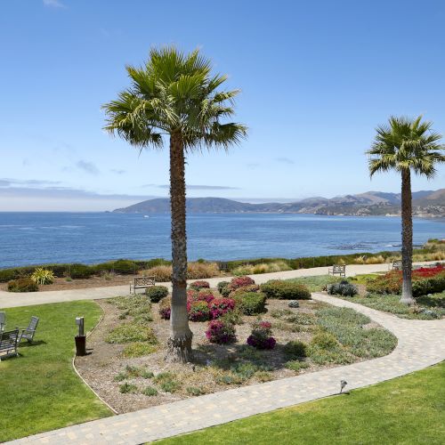 Sunny seaside garden with tall palm trees, flowers, and paths overlooking the blue ocean and distant hills.