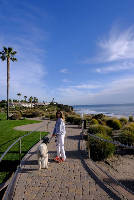 Spyglass Inn