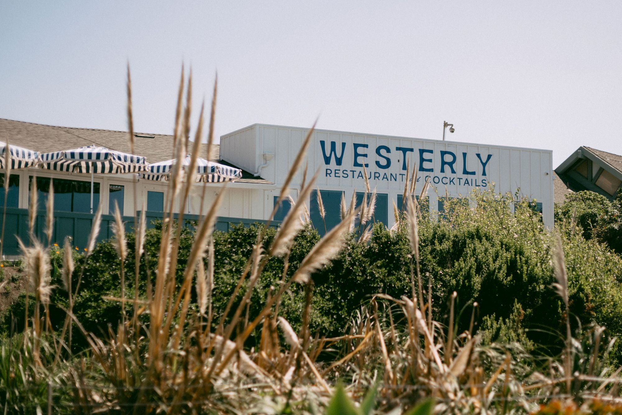 A building with a large &ldquo;Westerly Restaurant & Cocktails&rdquo; sign in front of tall grasses and greenery.